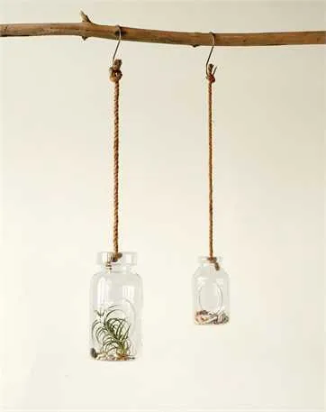 Glass Hanging Terrarium with Jute Rope