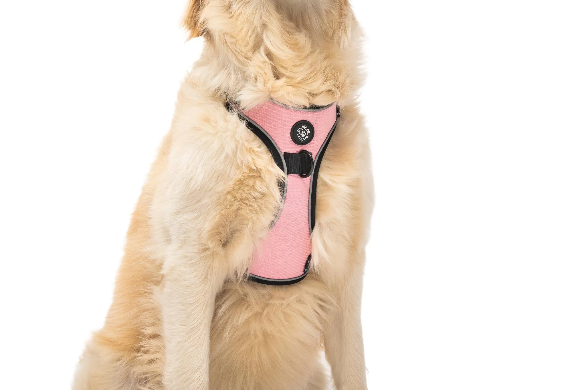 Pink Outdoor Harness