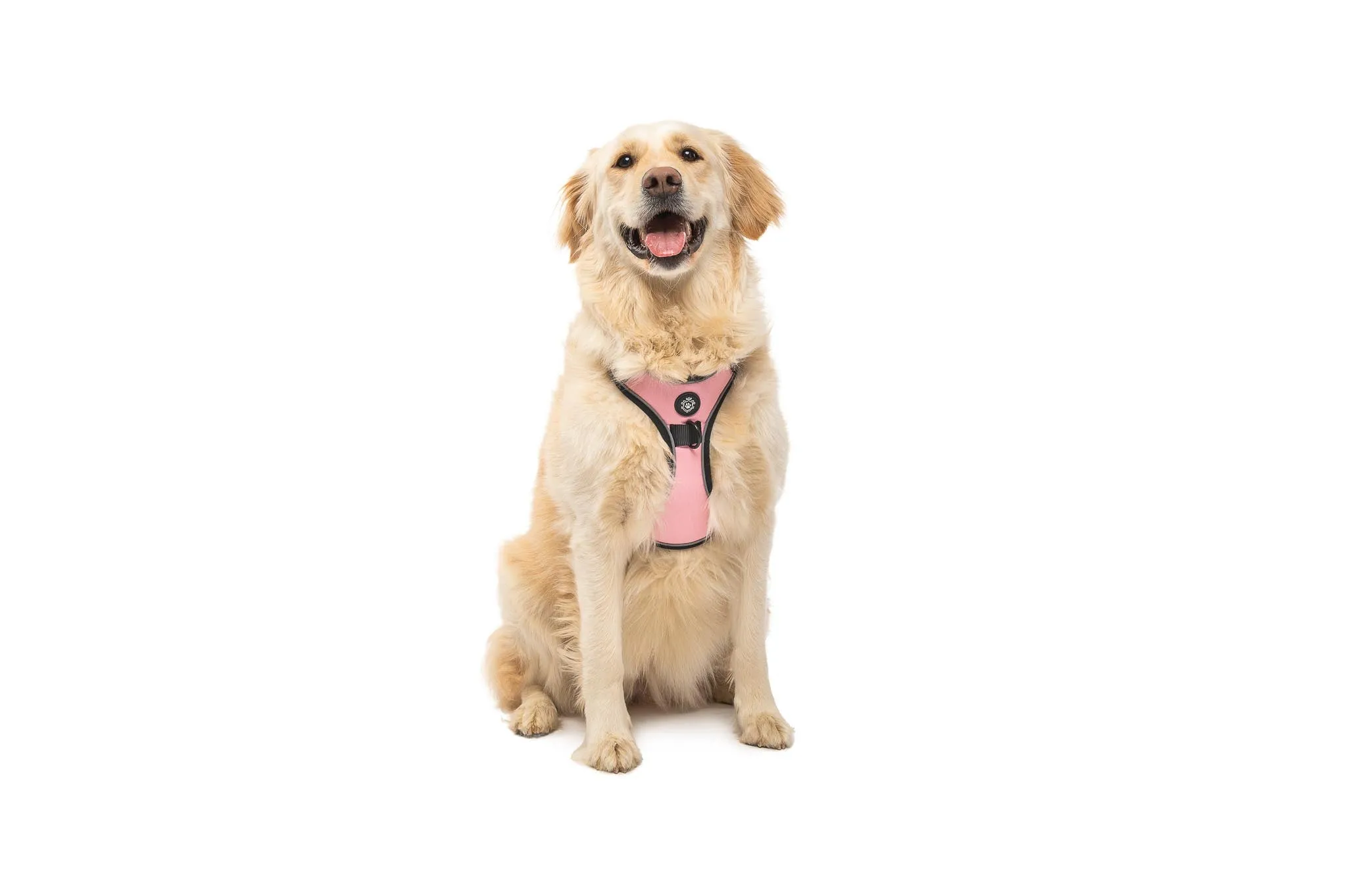 Pink Outdoor Harness