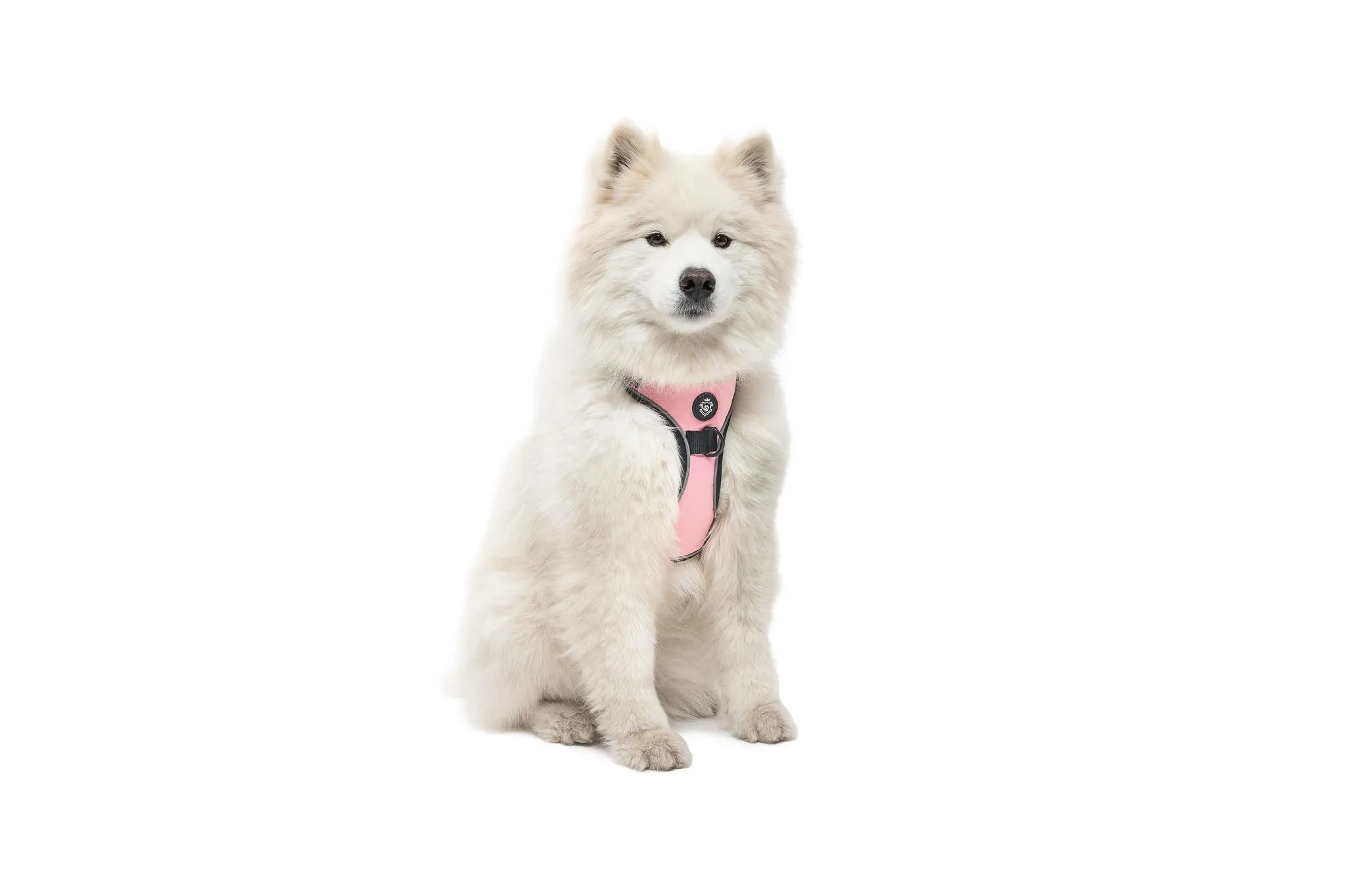 Pink Outdoor Harness